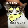 重倉ETH的韭貓🐱 看空不做空's profile picture