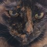 Profilbild von lemon1009