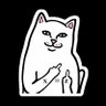 BadgerBjorn's profile picture