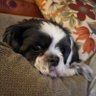 Sandybeachandme's profile picture