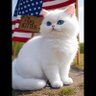 Фото профиля TheFierceKitten🦁🎚️🇺🇸