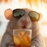 Ajustenegger's profile picture
