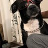 Luca's profile picture