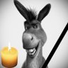 Floppa profil fotoğrafı