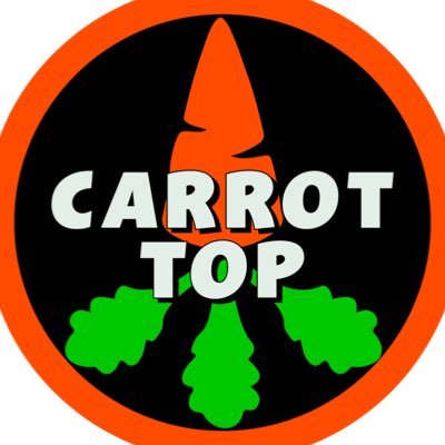 RealCarrotTop's profile picture
