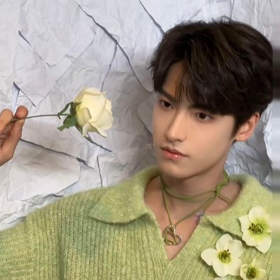 wenhanbff's profile picture
