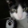 Pritam profil fotoğrafı