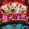 Profilbild von けるべろりん