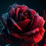 Md Danish's profile picture
