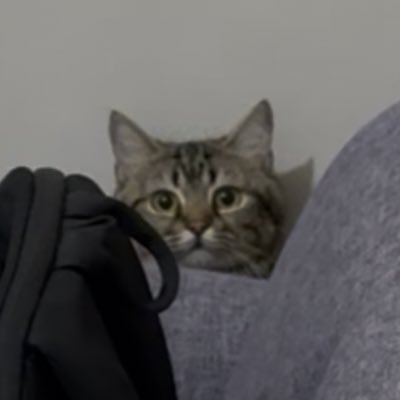 Mekmek's profile picture