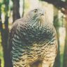سهيل النجم profil fotoğrafı