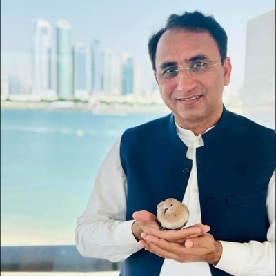 drusmanbaloch's profile picture