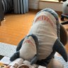 情報収集用(たぶん) 的头像