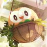 SquareDonut profil fotoğrafı