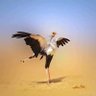 Фото профиля Mohammed Seif