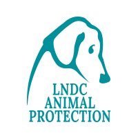 LNDC Animal Protection's profile picture