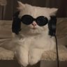 Profilbild von لول