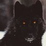 BlackWolf46 的头像