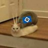 Norbato 的头像