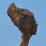 YU-CHIEN YEH profil fotoğrafı