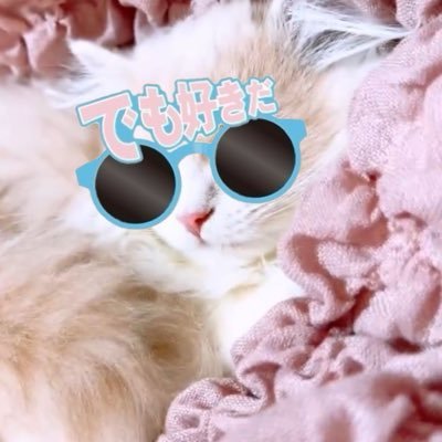 soutennn's profile picture