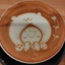 国産蜂蜜アカシア 的头像
