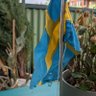 Leendets Lindh 🇸🇪🇺🇦🇮🇱🇬🇧's profile picture