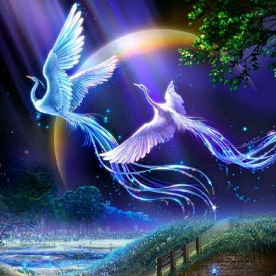 wgd112323416501's profile picture