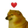 DOGE369 的头像