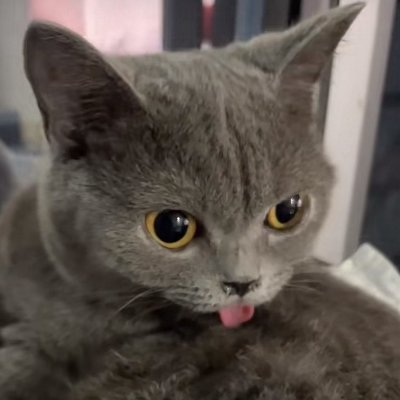 am0's profile picture