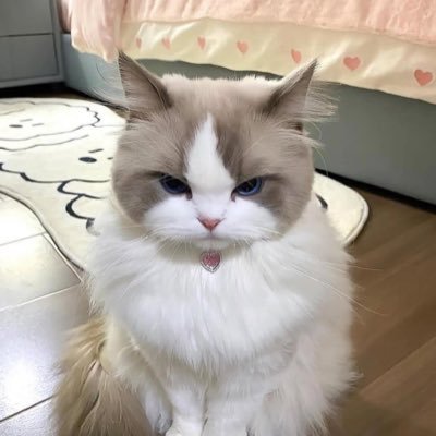 𝓜 𝓔 𝓜 𝓐 𝓨 𝓞 𝓝 𝓝 𝓐 𝓘 𝓢 𝓔's profile picture