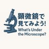 顕微鏡で見てみよう!'s profile picture