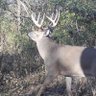 Profilbild von HuntingFishing86