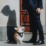 Profilbild von Bogdan Habic