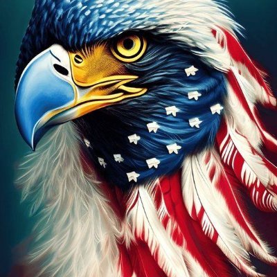 TheQranker's profile picture
