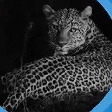 amm69ii's profile picture