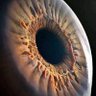 KOBA16 profil fotoğrafı