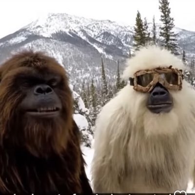 Outdoor_Yeti's profile picture