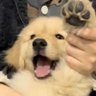 mmintt profil fotoğrafı