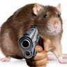 Profilbild von Big Rat