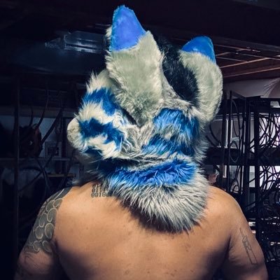 Kip 🔜 Furrydelphia's profile picture
