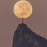 Moonlight 的头像