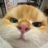 Keigh profil fotoğrafı