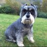 Pepethedug profil fotoğrafı