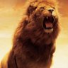 Shamsher Katoch's profile picture