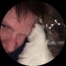 Scotty Barr 🐰's profile picture