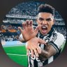 O+botafoguenseᴮᶠᴿ's profile picture