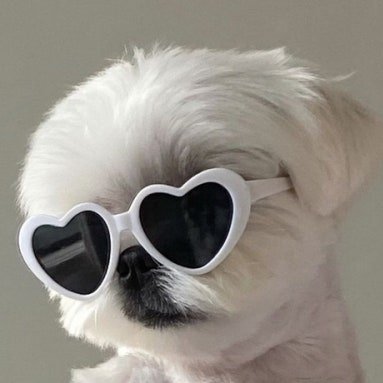 이응's profile picture