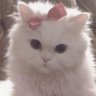 Profilbild von ✧˖°. sylvie 𝜗𝜚 ‧₊˚ ⊹