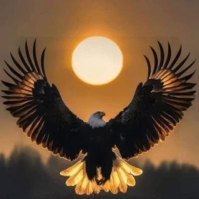 SimonPerez1123's profile picture